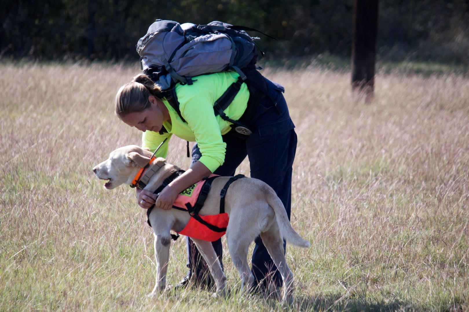 Our Mission - Alamo Area Search and Rescue